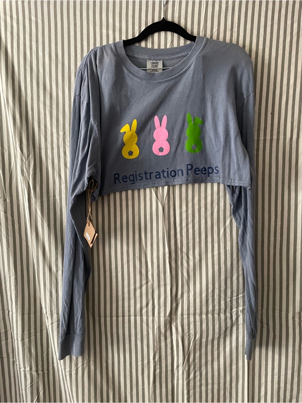 Comfort Colors Cropped Long-Sleeve Tee with Yellow Pink Green Peeps